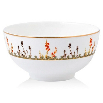 Полноразмерное изображение Полноразмерное изображение