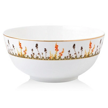 Полноразмерное изображение